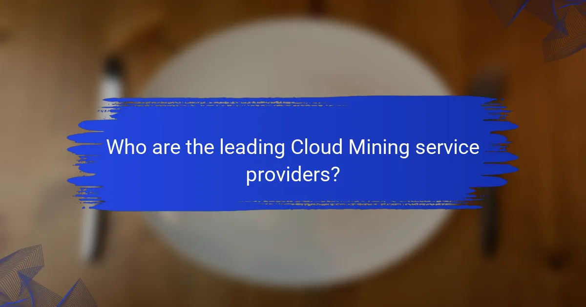 Who are the leading Cloud Mining service providers?